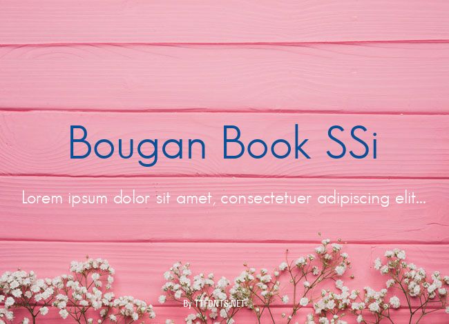 Bougan Book SSi example